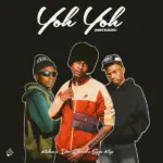 Don Edward – Yoh Yoh (Ahee Kukzer) Ft. Sgija Keys & Kukzer Wadi Piano_012