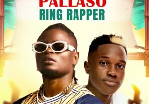 Ring Rapper – My Year Ft Pallaso