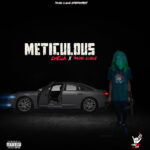 Chella – Meticulous Ft Young Clique