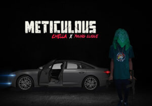 Chella – Meticulous Ft Young Clique