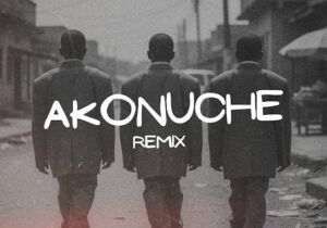 Priesst – Akonuche (Remix) ft. Shoday, Victony